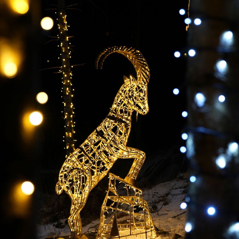 Mallnitzer Bergadvent im BIOS Nationalparkzentrum: Programmstart am 28. November 2025.