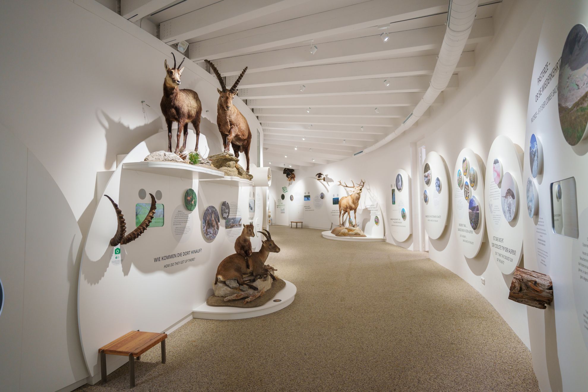 Ausstellungsansicht univerzoom nationalpark