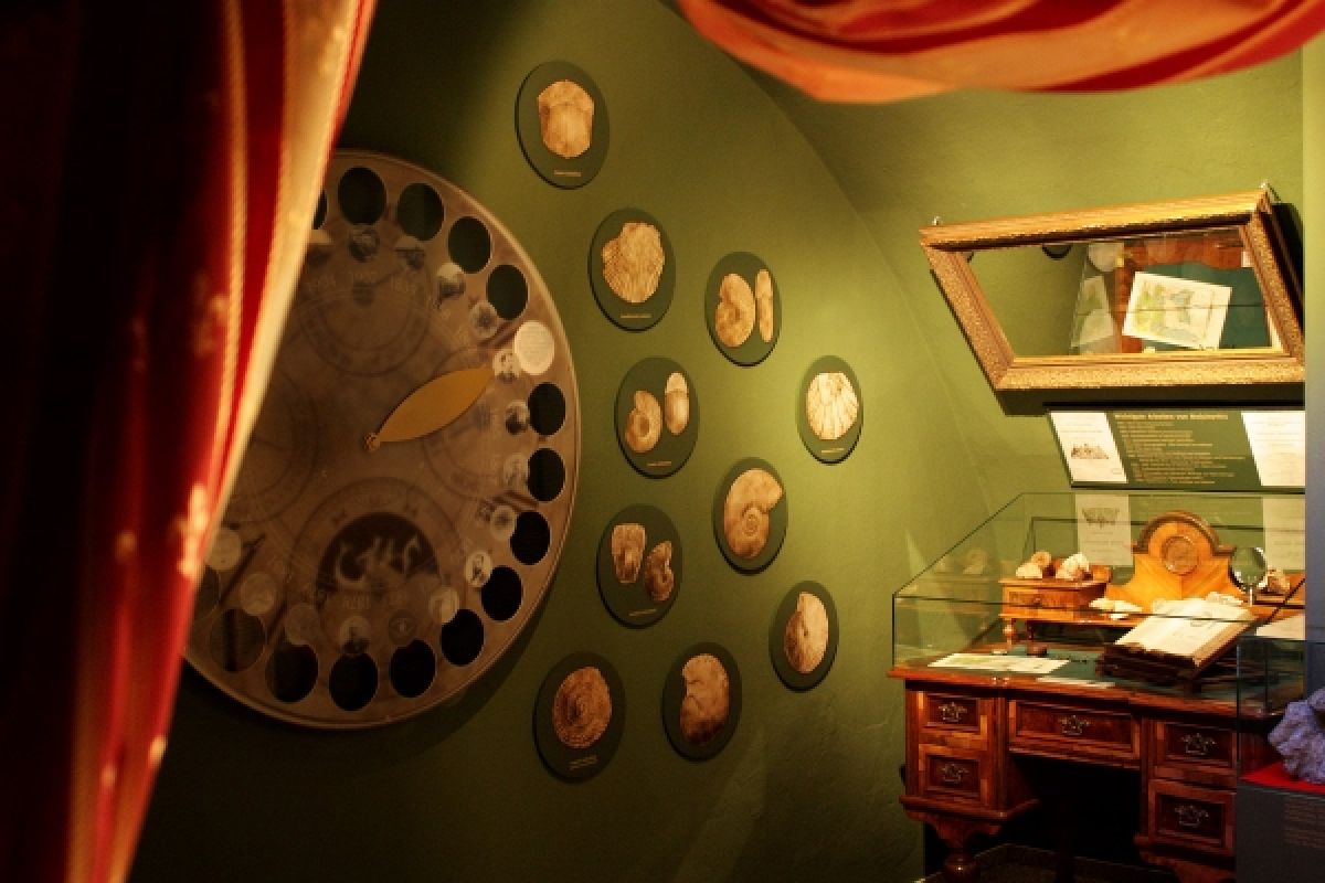 Stühle und eine Leinwand im Veranstaltungssaal 